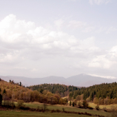 Ratajová