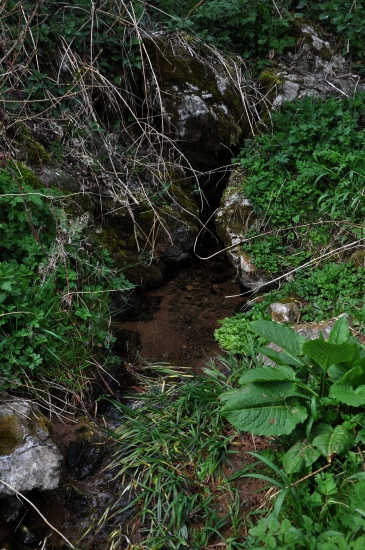 Prameň 2