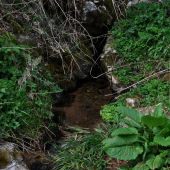 Prameň 2