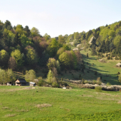 Jarná nálada