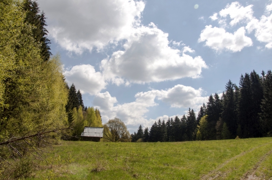 Cez Molčanovú