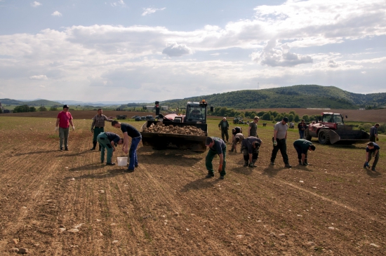 Brigáda pre družstvo