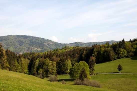 Zálomská
