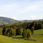 Zálomská