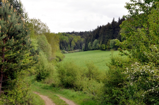 Horná hôrka