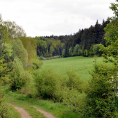 Horná hôrka