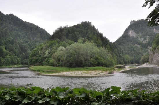 Dunajec