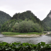 Dunajec