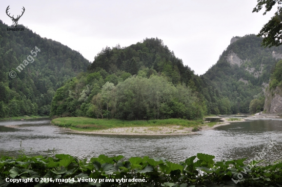 Dunajec