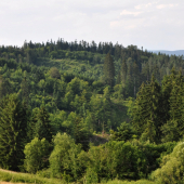 Plavno