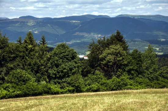 Nad Bukovinkou