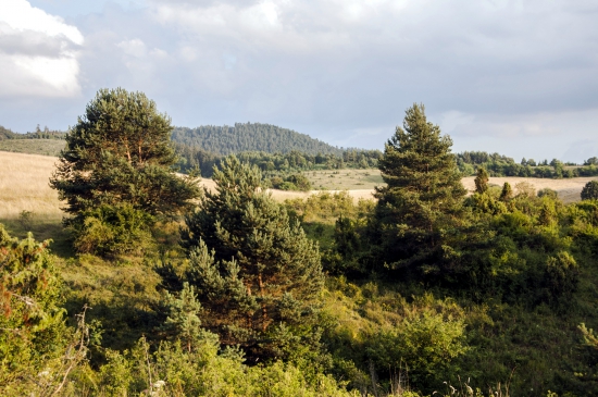 Nad Užliebkom