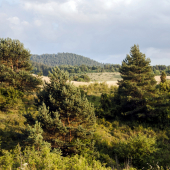 Nad Užliebkom