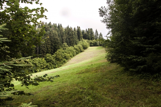 Cez Čamangu
