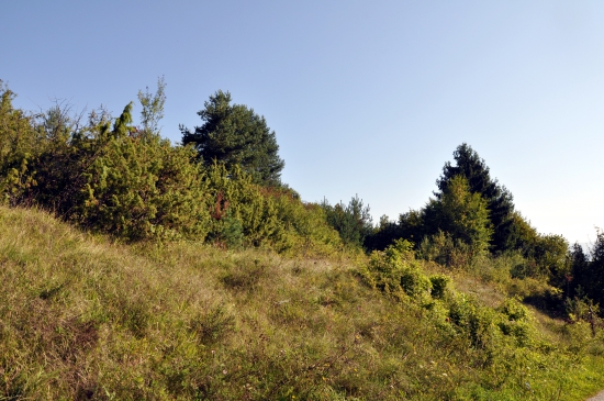 Pod Skalím