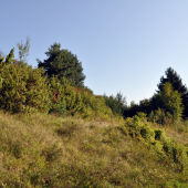 Pod Skalím