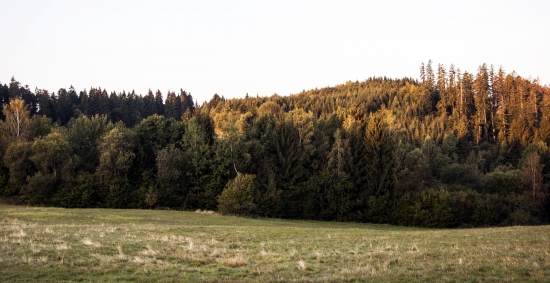 Čierny diel