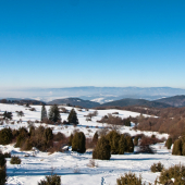 Žiaková