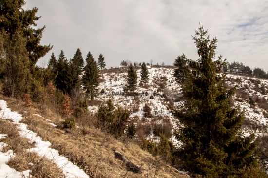 Za Hradskou
