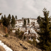 Za Hradskou