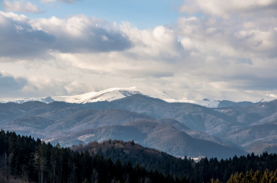 Krížna