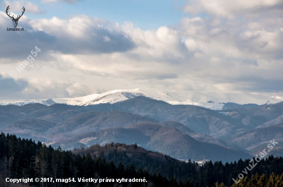 Krížna