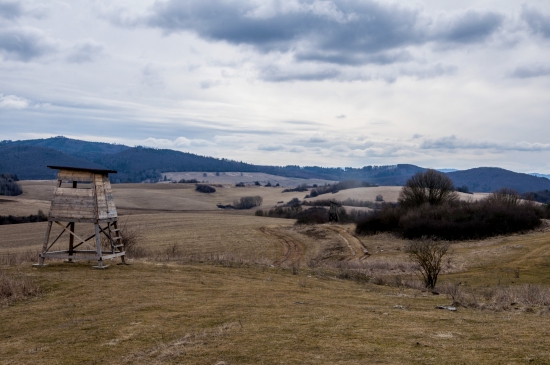 V Kalinovci