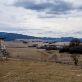 V Kalinovci