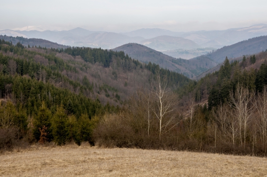 Veľké Plavno