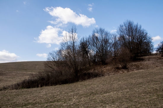 Cez Bukovinku