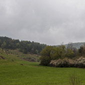 Upršané dni