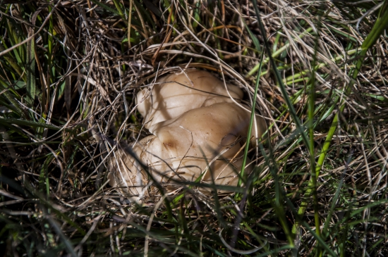 Moje prvé tohtoročné