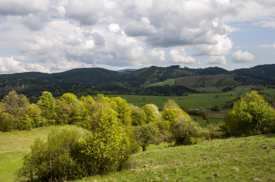 Cez Bukovinku