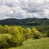 Cez Bukovinku