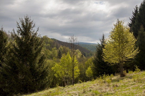 Zvadlivé