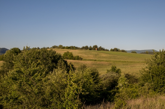 Dúbravka