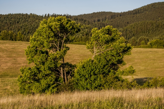 Nemákovo
