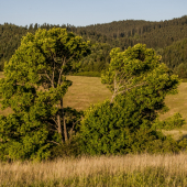 Nemákovo