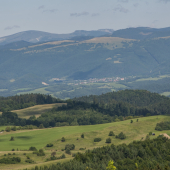 Nad Jelšinou