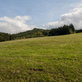 Pod Paľovie hôrkou