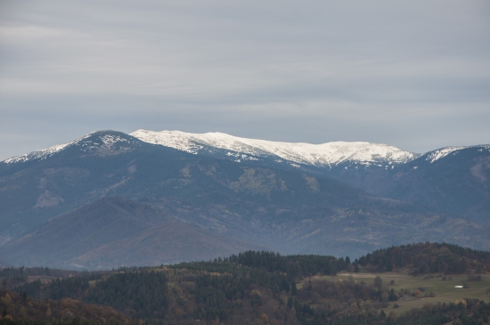 Prašivá