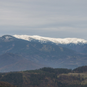 Prašivá