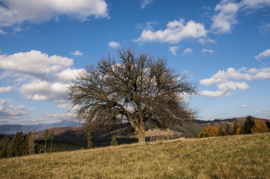 Slnečné odpoludnie