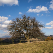 Slnečné odpoludnie