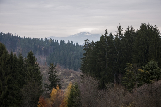 Rušeňovo