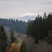 Rušeňovo