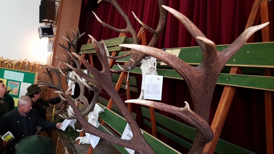 Z CHP Dolná Mičiná