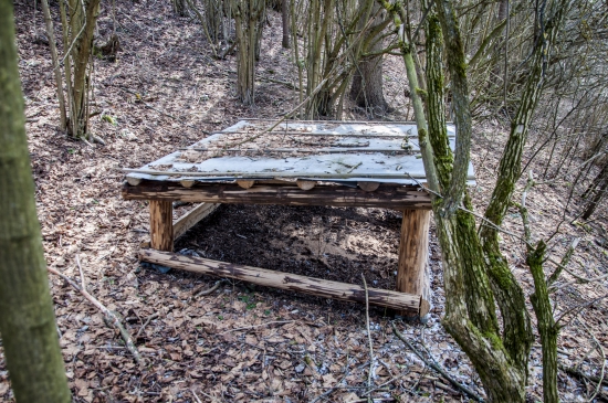 Prikrmovanie bažantov