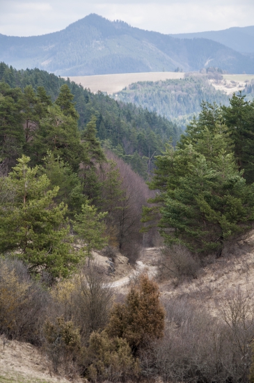 Užliebok