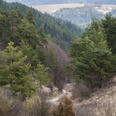 Užliebok